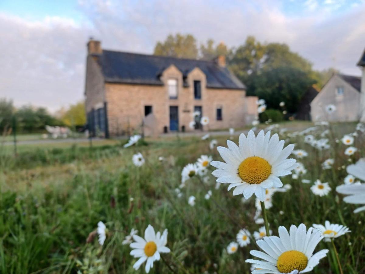Au Petit Bonheur De Claire Et Jo Bed & Breakfast La Chapelle-Caro Exterior photo